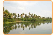 Cochin Tour Packages India